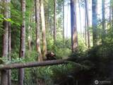 0 XXX State Route 101 - Photo 4