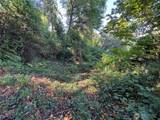 11002 Vashon Highway - Photo 3
