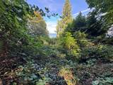 11002 Vashon Highway - Photo 4