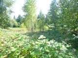 0 Larch Way - Photo 9