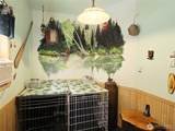 239 Robinson Road - Photo 13