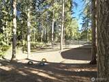 239 Robinson Road - Photo 17