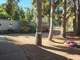 239 Robinson Road - Photo 18