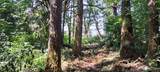 0 Loop Lot 1 Road - Photo 1