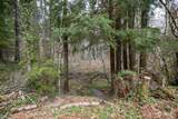 81 Kokanee Cove Way - Photo 20