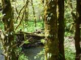 16732 Highway 112 - Photo 40
