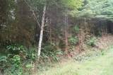 0 Off of Wynooche Wishkah Road - Photo 3