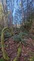 0 Lackey Road - Photo 10