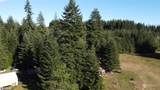 3190 Hoquiam Road - Photo 24
