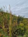 0 NNA O'brian Road - Photo 15