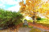 1785 Douglas Road - Photo 38