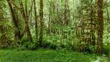 99992 Dowans Creek Road - Photo 1