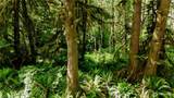 99994 Dowans Creek Road - Photo 1