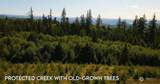 304 Dream View Lane - Photo 7