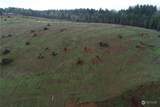 207 Ash Mountain Drive - Photo 8