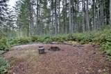 50 Meadow Mist Place - Photo 37