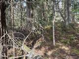149 XX 175th Avenue - Photo 12