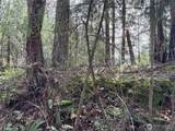 149 XX 175th Avenue - Photo 13