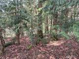 149 XX 175th Avenue - Photo 16