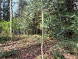 149 XX 175th Avenue - Photo 17
