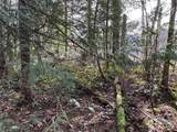 149 XX 175th Avenue - Photo 8