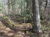 149 XX 175th Avenue - Photo 10