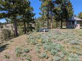 1021 Chicken Farm Lane - Photo 16