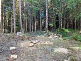 0 Hwy 101 Forks - Photo 1