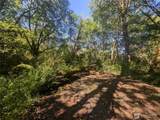 999 Whitcomb-Dimmel Road - Photo 10