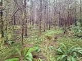 0 Bunker Creek Road - Photo 5