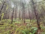 0 Bunker Creek Road - Photo 6