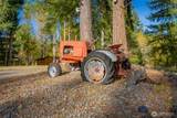 17328 Mulqueen Road - Photo 15
