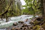10500 Mount Baker Highway - Photo 20