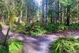 10500 Mount Baker Highway - Photo 21