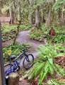 10500 Mount Baker Highway - Photo 22