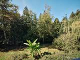 209 Sunset Drive - Photo 33