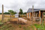 193 Schoolhouse Road - Photo 30