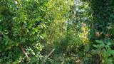 15800 62nd Avenue - Photo 17