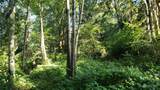 15800 62nd Avenue - Photo 9