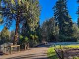 12031 Dave Road - Photo 35