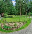 12031 Dave Road - Photo 36
