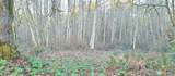 14817 24th St Sw - Photo 9