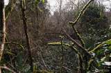 0 Schley Street - Photo 4