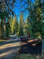 12031 Dave Road - Photo 38