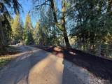 12031 Dave Road - Photo 39