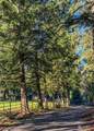 12031 Dave Road - Photo 5