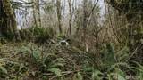 215 Elk Creek Ridge Road - Photo 8