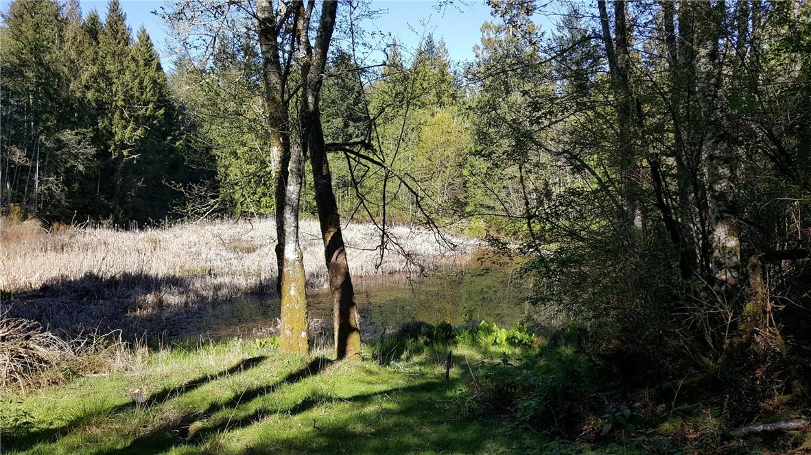 76-B Shady Lane - Photo 1