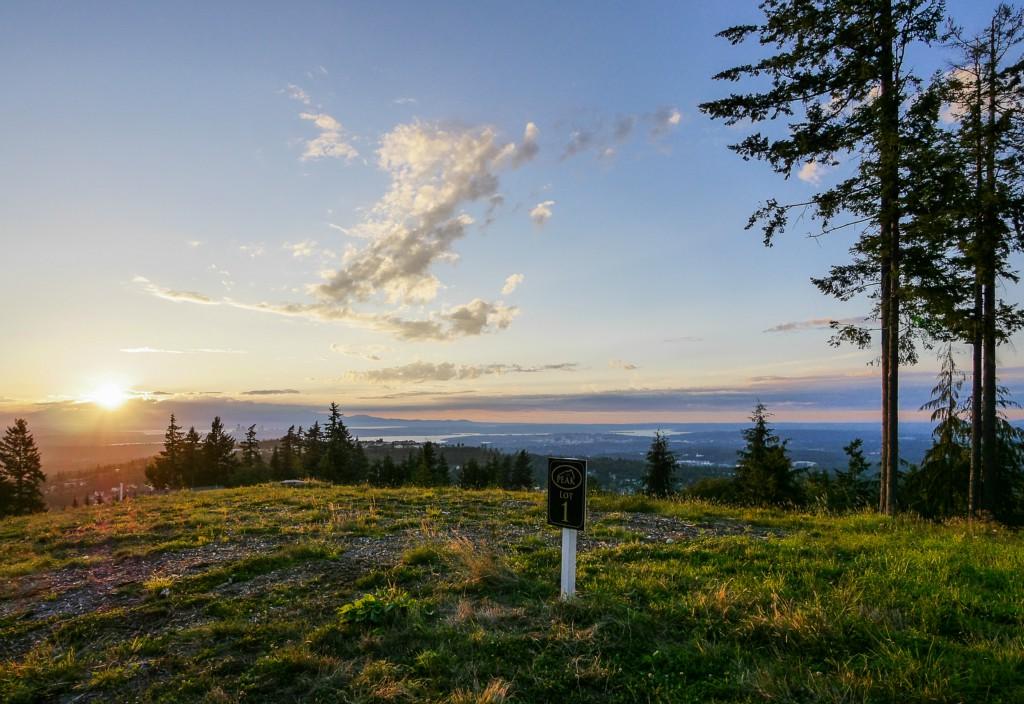 17258 64th Ct (Lot 1) - Photo 1
