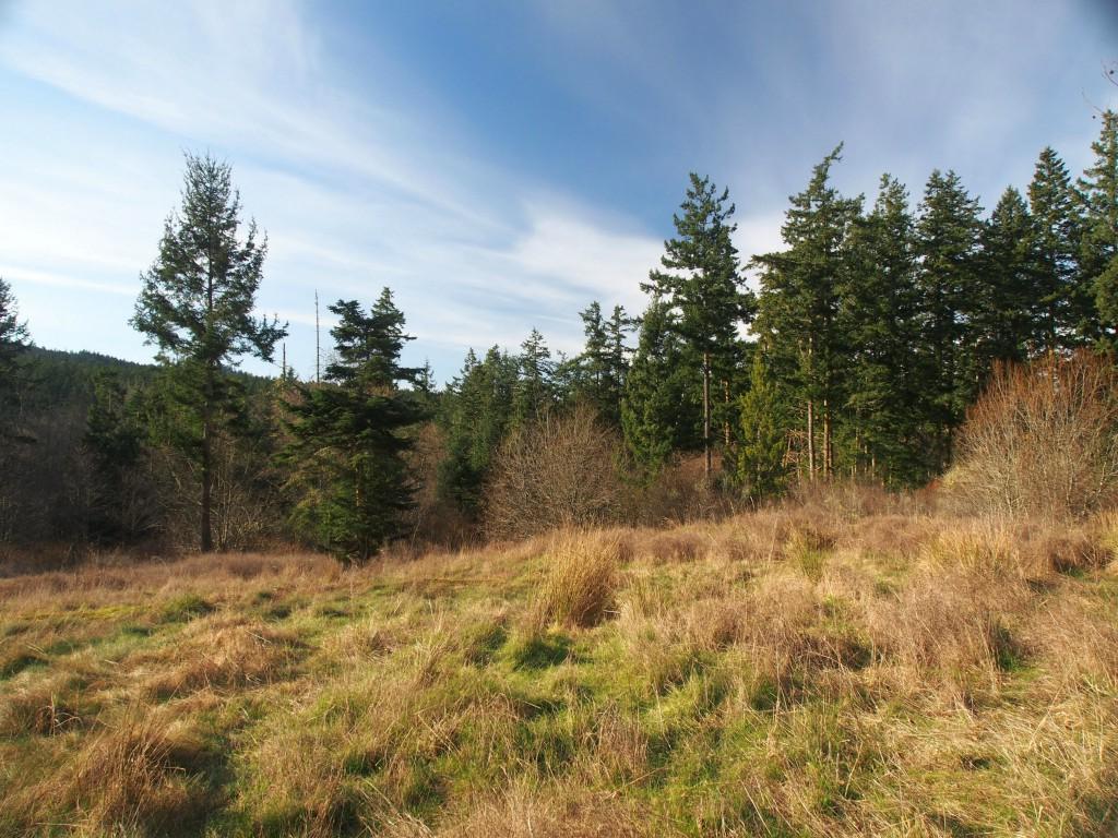 0-XXX Wold Rd - Photo 1